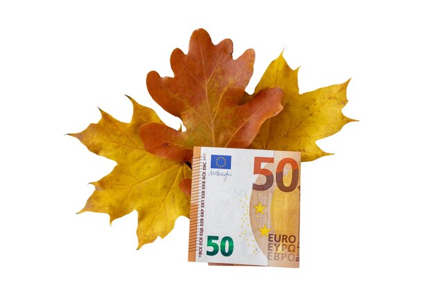 Isoliert auf weißem Hintergrund von 50 Euro und mehrfarbigen Ahornblättern im Herbst Herbstverkauf