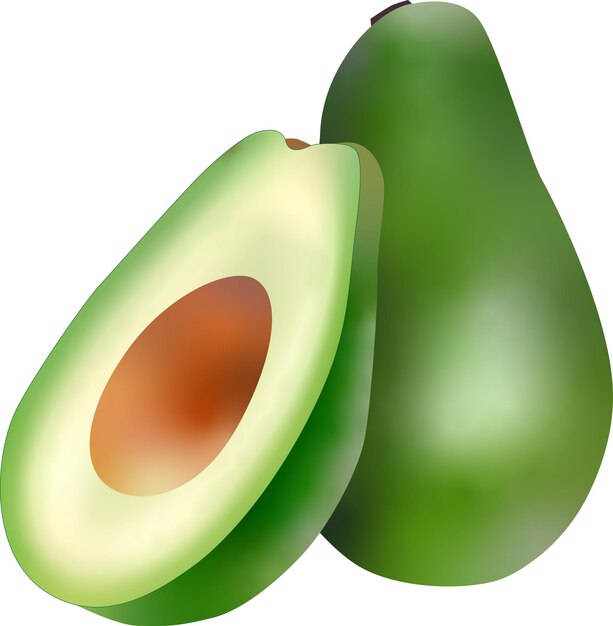 Foto isolierte avocado