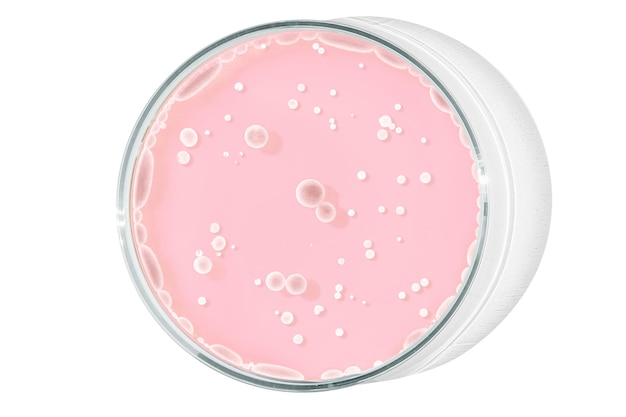 Isolierte Petri-Schüssel auf leeren Hintergrund Rosa Tropfen Streifen Bakterien und Moleküle in einer Petri-schüssel