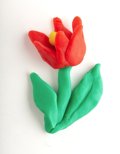 Isolierte Plastilinblumen