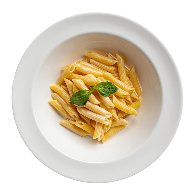 Isolierte Portion italienischer Penne-Nudeln