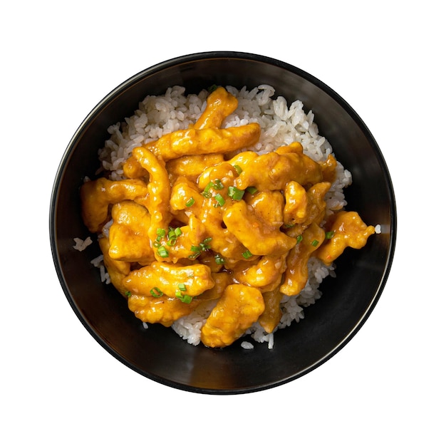 Isolierte Schüssel mit asiatischem Curry-Huhn und Reis