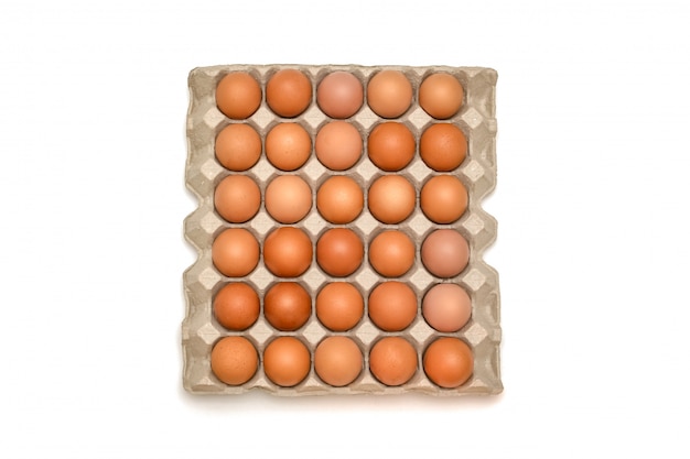 Isolierte Tablett mit Eiern