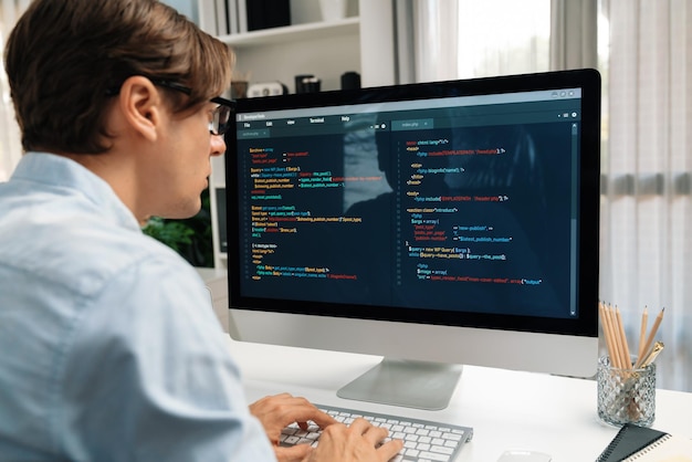 IT-Entwickler arbeitet Online-Softwareentwicklung auf PC und Laptop Pecuniary