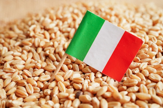 Itália no conceito de exportação e economia de comércio de trigo em grão