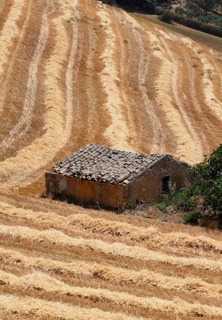 Italia Sicilia Catania provincia campo campo de heno cosechado