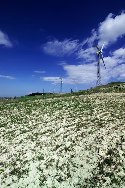 Italia Sicilia Francofonte campo turbinas de energía eólica el volcán Etna en el fondo