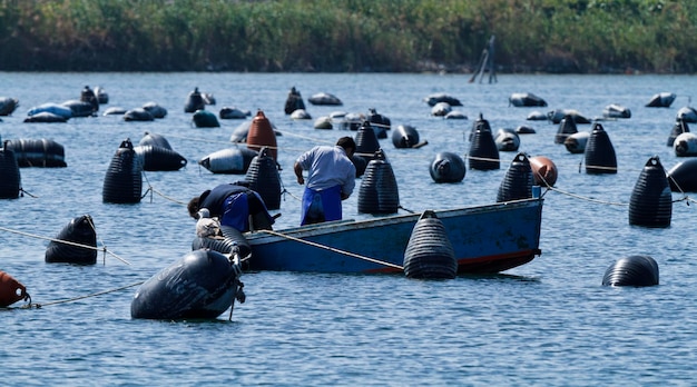 Italia, Sicilia, Ganzirri (Messina), pescadores que trabajan en una granja de mejillones