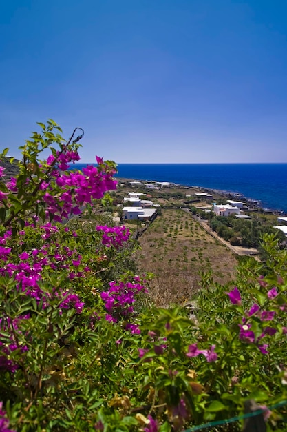 ITALIA, Sicilia, isla Pantelleria, vista de la isla y Dammusi, típicas casas de piedra locales de estilo árabe