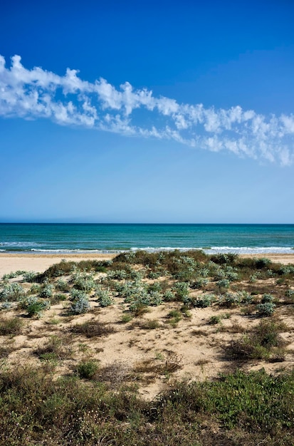 Italia Sicilia Mar Mediterráneo Sur de la costa arenosa Playa Grande Provincia de Ragusa