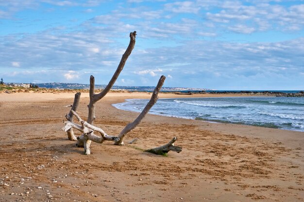 Italia, Sicilia, provincia de Ragusa, costa sureste, Mar Mediterráneo, boles llevados en la playa por las olas del mar