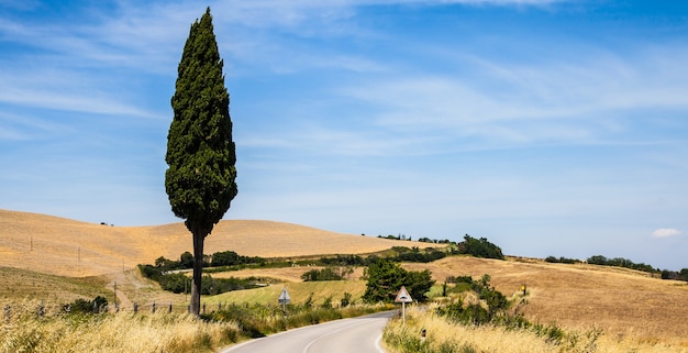 Itália, Toscana; uma estrada no meio do país, perto de Asciano