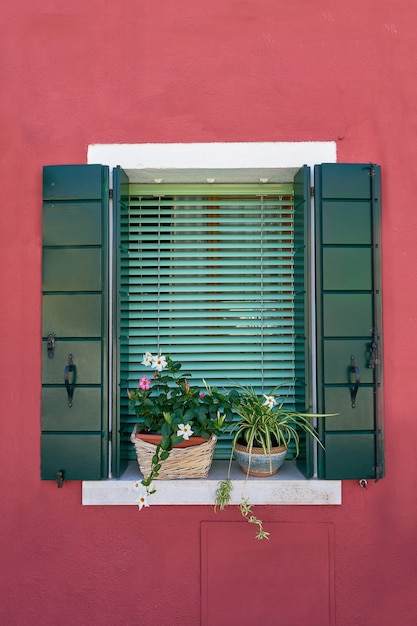 Itália, Veneza, ilha de Burano. Paredes coloridas tradicionais e janelas com venezianas abertas