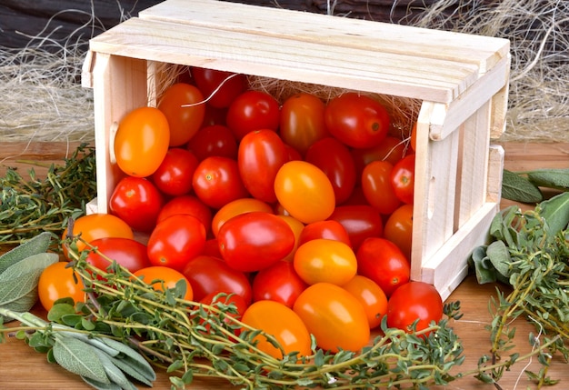 Italienische Mini-Tomaten in Holzkiste