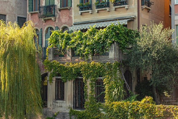 Ivy trepa por las paredes de una casa antigua en Italia