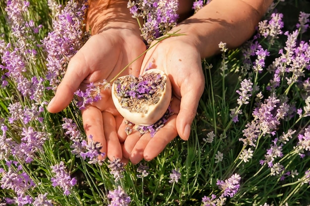 Jabón natural artesanal en forma de corazón en manos de una niña en flores de lavanda