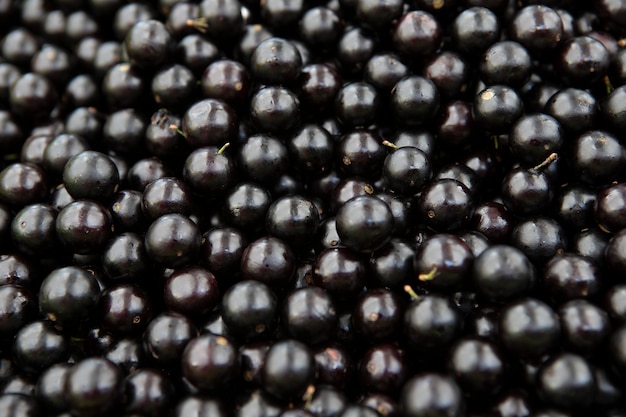 Jaboticaba, einheimische Traube aus Bazil