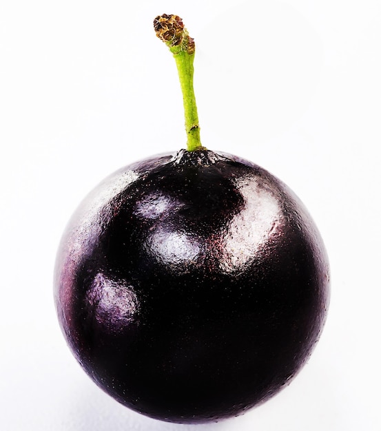 La jabuticaba o jabuticaba es una fruta blanca negra violácea típica de Brasil sobre fondo blanco aislado