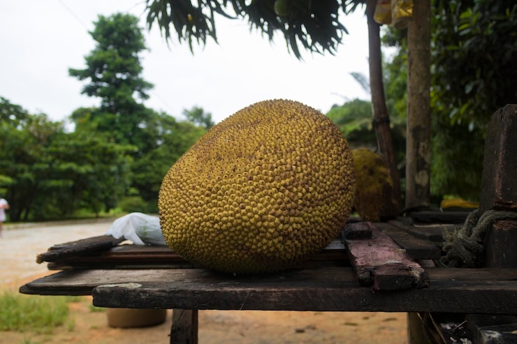 Foto jaca como jaca na mesa de madeira pronta para comer frutas famosas do brasil espécie artocarpus heterophyllus