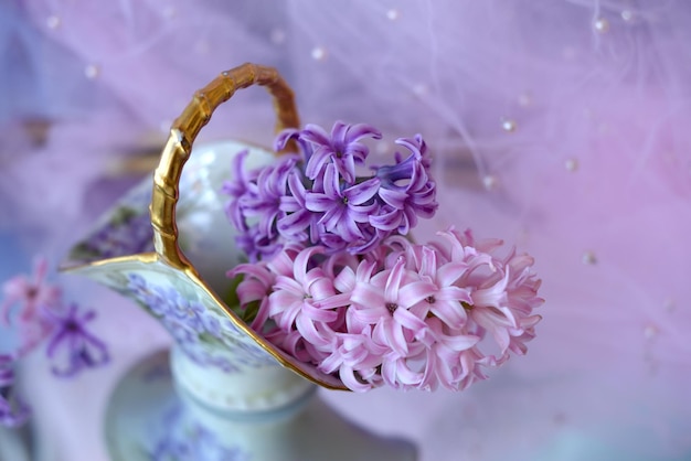 Jacinto de flores rosa e roxa em um vaso em close-up