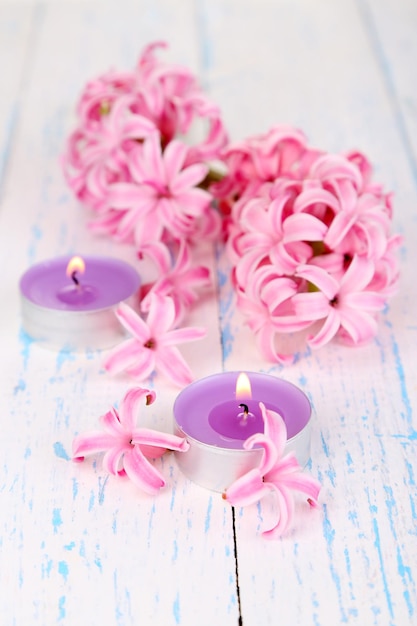 Jacinto rosa con velas sobre fondo de madera