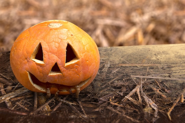 Jack-o-Lantern com minhocas na mesa de madeira