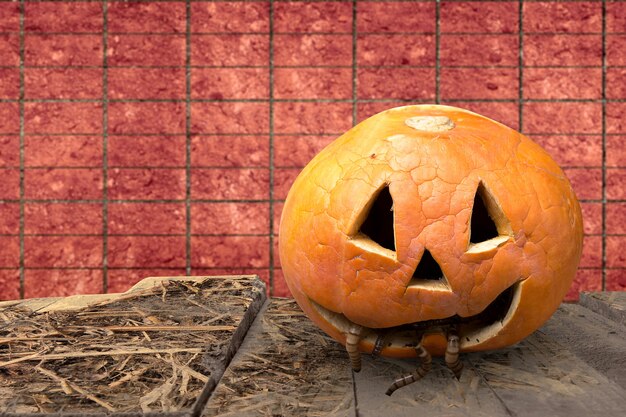 Jack-o-Lantern con gusanos en la mesa de madera con fondo de pared de ladrillo