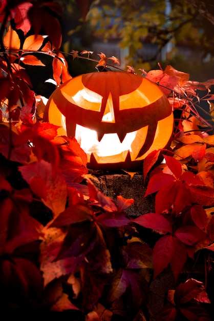 Jack o'Lantern y hojas de otoño