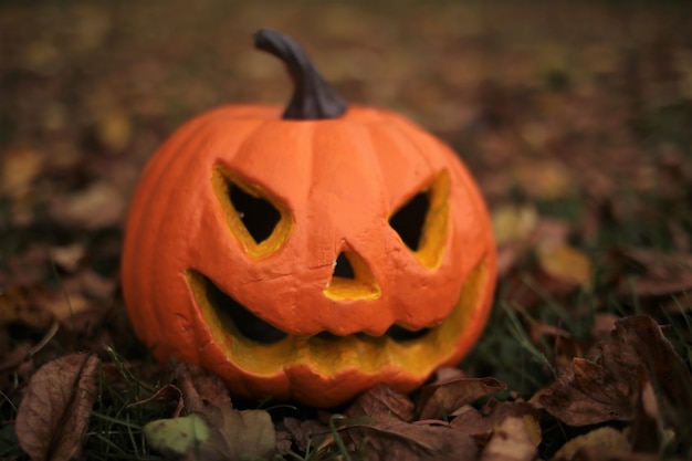 Foto jack'o'lantern im garten