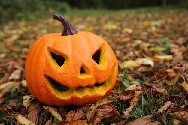 Foto jack'o'lantern en el jardín