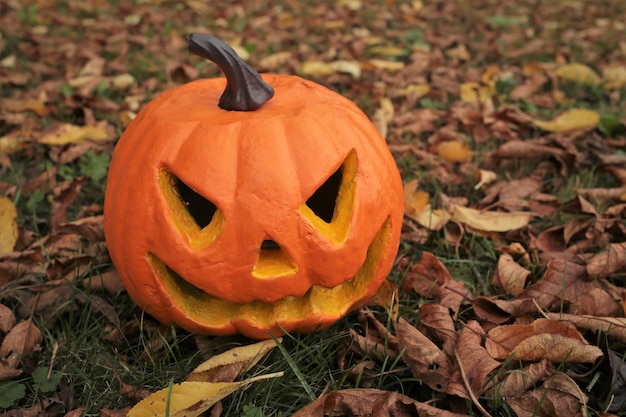 Jack'o'Lantern no jardim