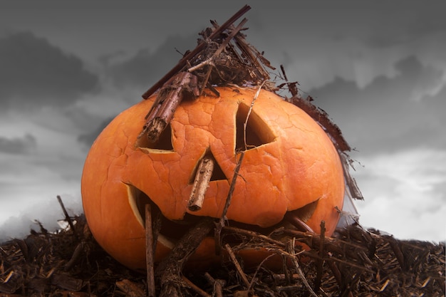 Jack-o-Laterne mit Zweig auf dem Boden