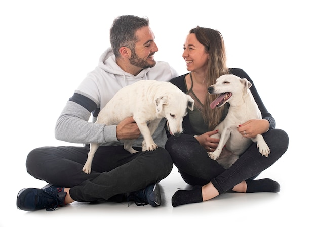 Jack russel terriers e casal em frente ao fundo branco