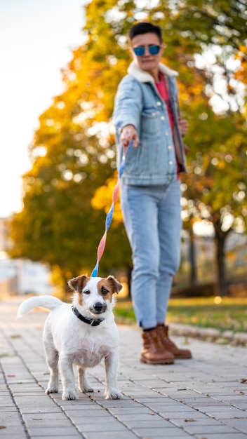 Foto jack russell está puxando a coleira. mulher passeando com cachorro no parque de outono