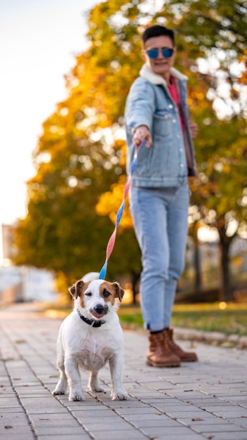 Jack Russell zieht an der Leine. Frauenspaziergang mit Hund im Herbstpark