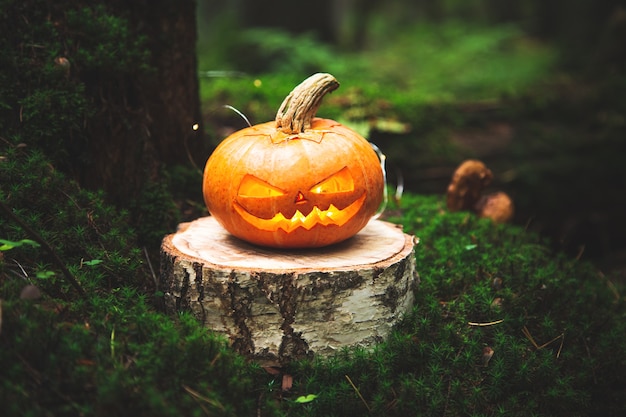 Jacks Laterne im unheimlichen, mystischen Wald. Geschnitzter Kürbis. Halloween-Hintergrund.