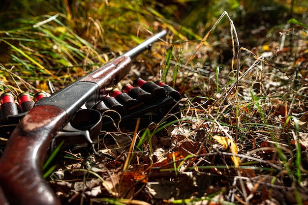 Jagdgewehr und Patronen im Herbstwald