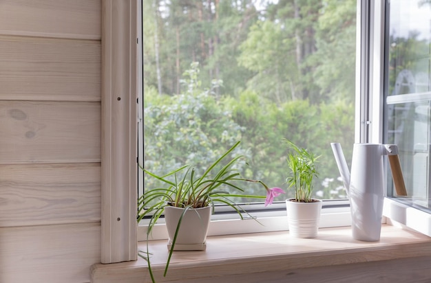 Janela branca com rede mosquiteira em uma casa de madeira rústica com vista para o jardim Plantas domésticas e um regador no peitoril da janela