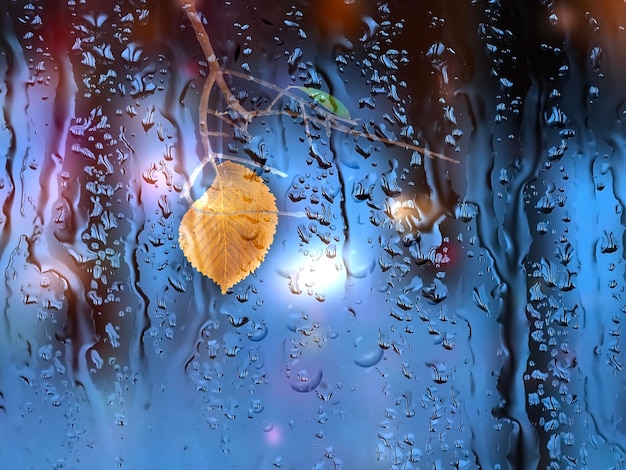 janela chuvosa luz turva com gotas de chuva e folhas de outono fundo de rede sazonal,