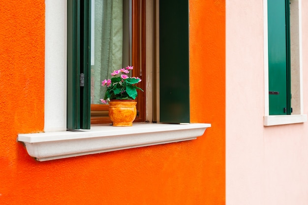 Foto janela com flores na parede laranja. arquitetura colorida na ilha de burano, veneza, itália.