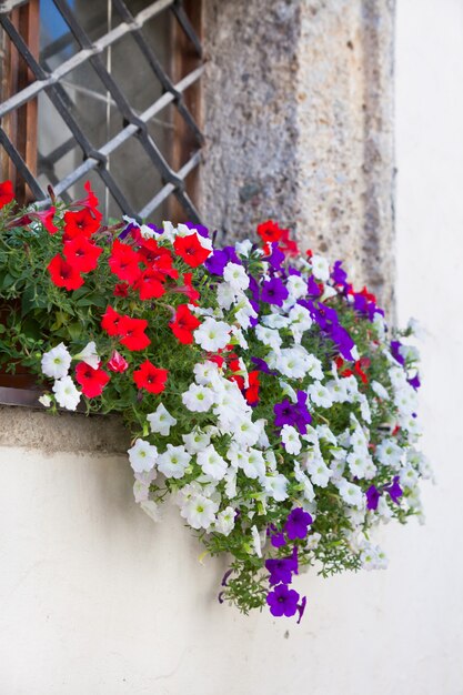 Janela com vasos de flores e flores coloridas em uma parede branca