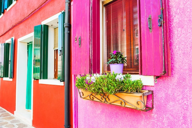 Janela com venezianas rosa e flores. Casas coloridas na ilha de Burano, Veneza, Itália