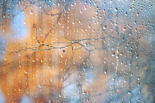 janela de chuva outono galhos de folhas amarelas / fundo abstrato de outono, paisagem em uma janela chuvosa, tempo chuva de outubro