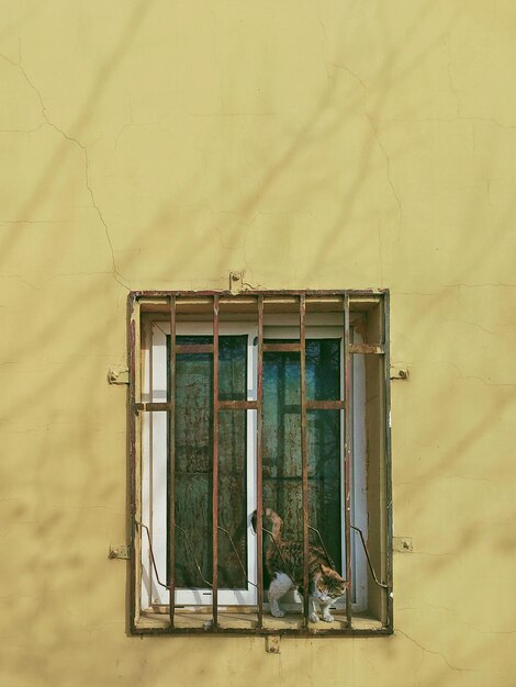 Foto janela fechada de um edifício antigo