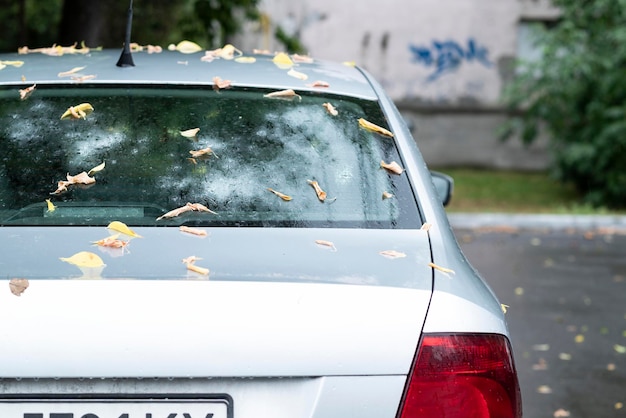 Janela traseira de um carro cinza estacionado na rua em dia chuvoso de outono com folhas caídas, vista traseira.