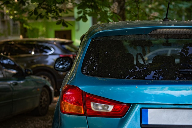 Janela traseira do carro azul estacionado na rua em dia ensolarado de verão, vista traseira. Mock-up para adesivo ou decalques