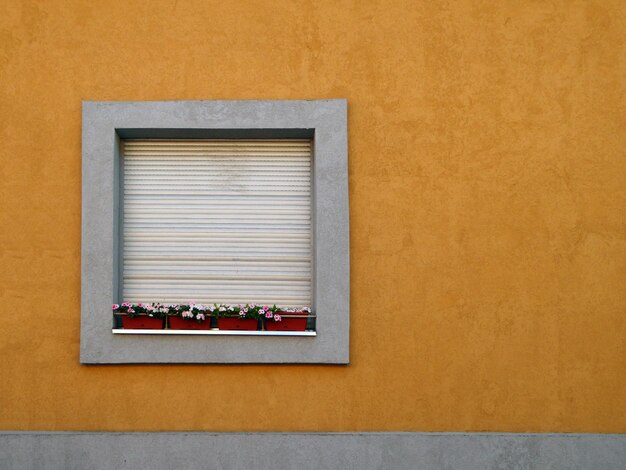 Janelas com cortinas de sol fechadas e flores na parede amarela