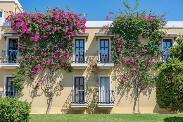 Janelas com varanda na fachada do prédio com ornamentos de ferro fundido e árvore de flores na parede em bodrum, turquia