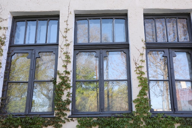 Janelas da casa velha com plantas ao ar livre