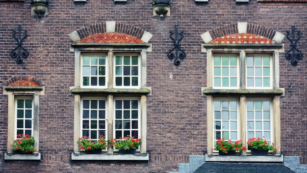 Janelas de um prédio antigo em amsterdã